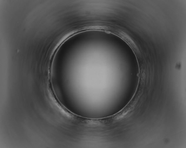 X0000091670852200708231327