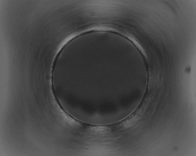 X0000091670853200708231327