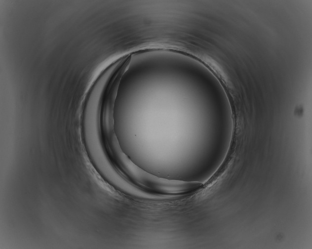 X0000091670854200708231327