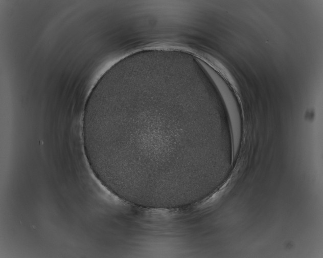 X0000091670855200708231327