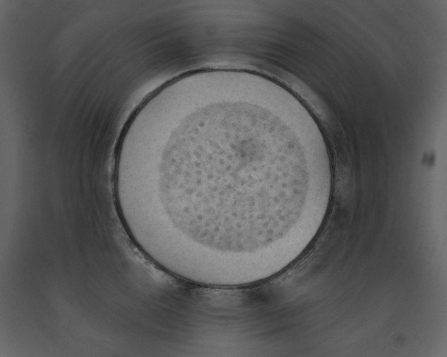 X0000091670856200708231327