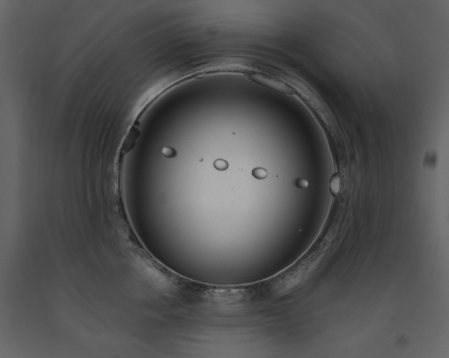 X0000091670858200708231327