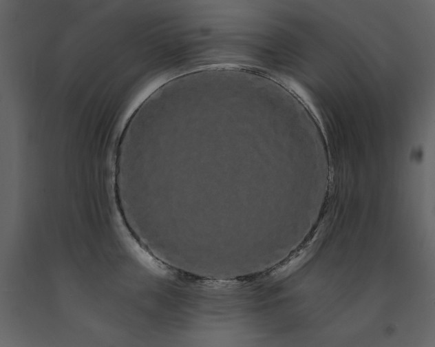 X0000091670859200708231327