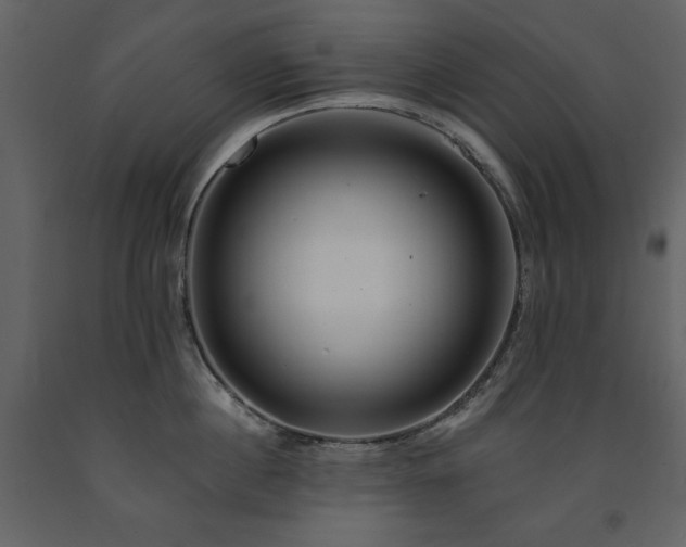 X0000091670860200708231327