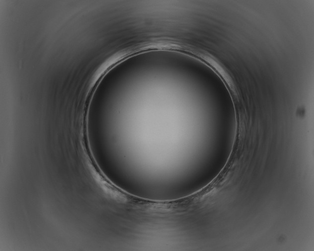 X0000091670861200708231327