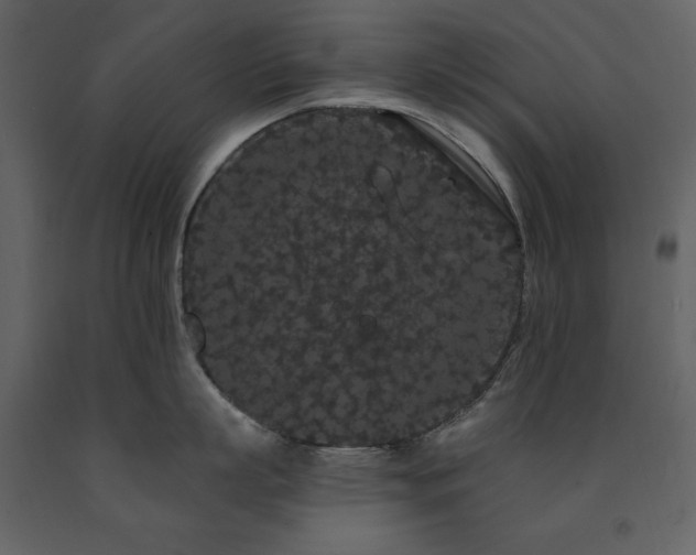 X0000091670863200708231327