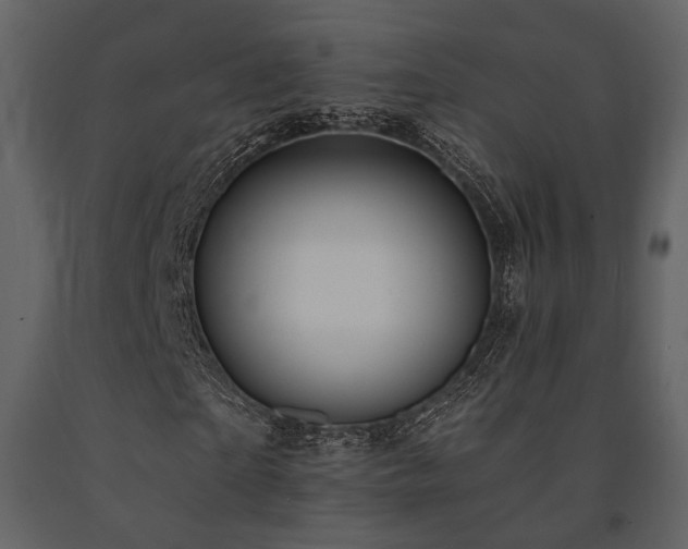 X0000091670865200708231327