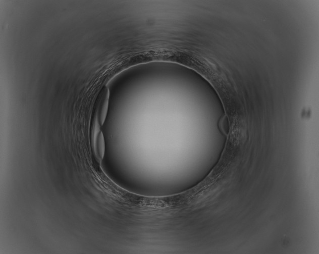 X0000091670866200708231327
