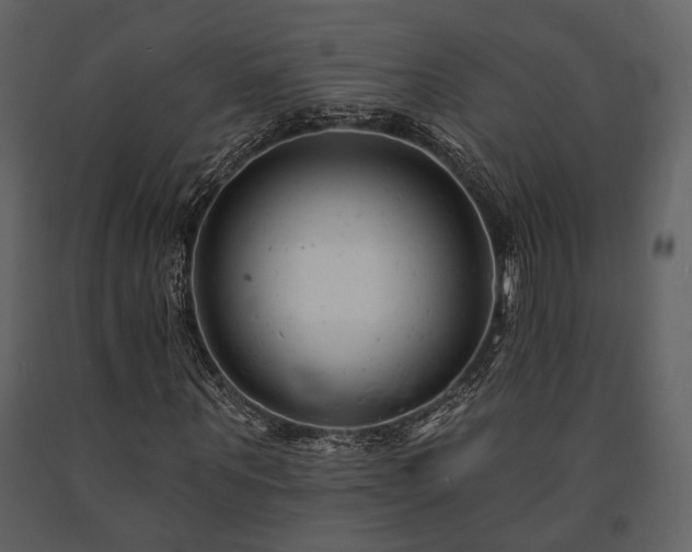 X0000091670867200708231327