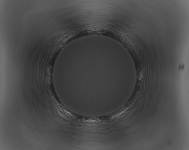 X0000091670868200708231327