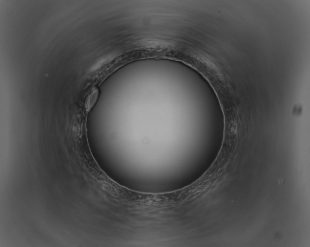 X0000091670869200708231327