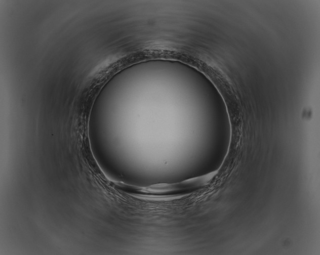 X0000091670870200708231327