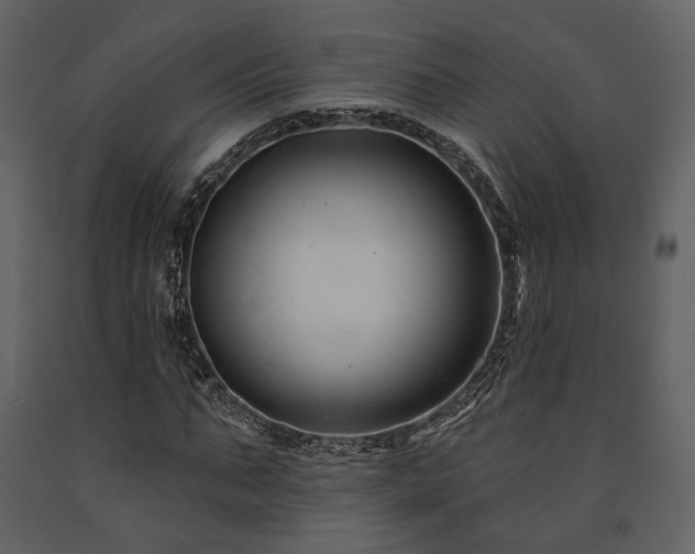 X0000091670871200708231327