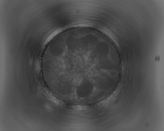 X0000091670874200708231326