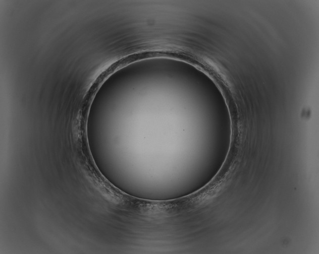 X0000091670875200708231326