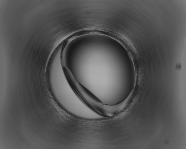 X0000091670876200708231326