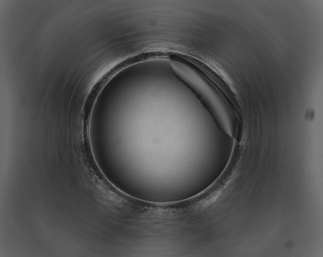 X0000091670877200708231326