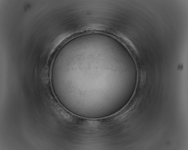X0000091670878200708231326