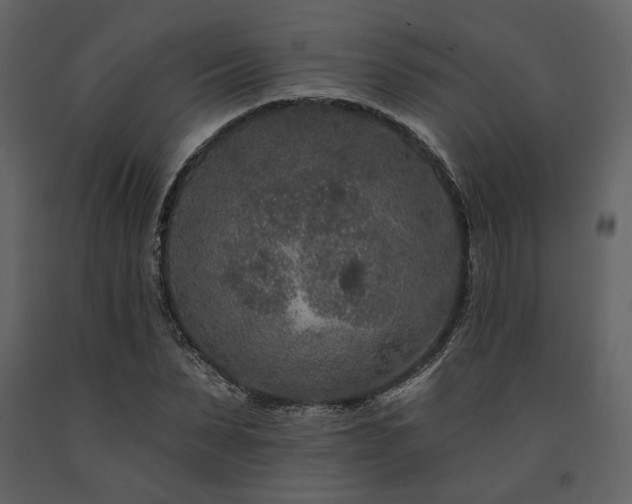X0000091670879200708231326