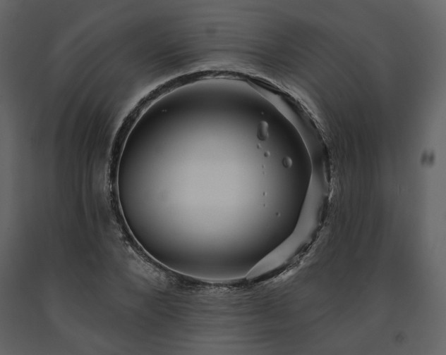 X0000091670880200708231326