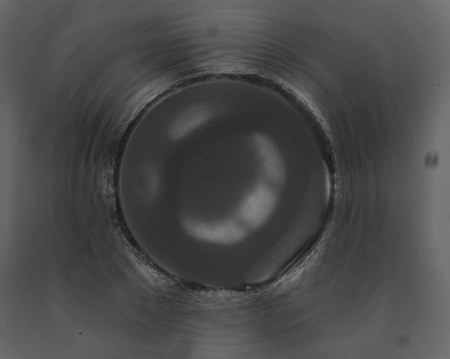 X0000091670881200708231326