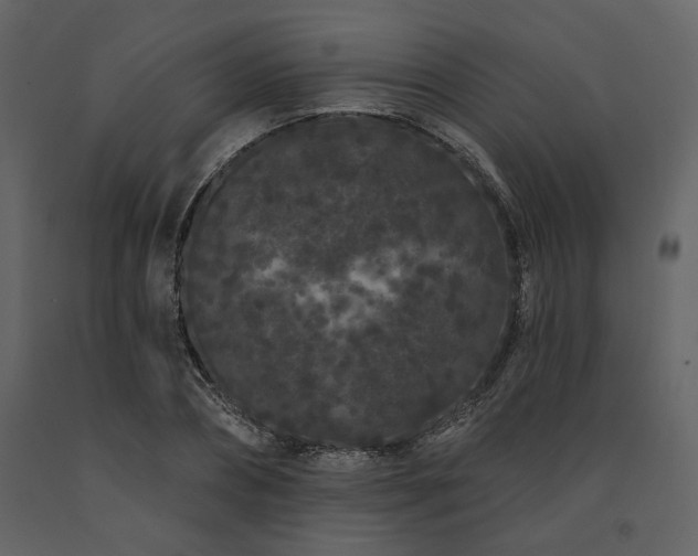 X0000091670882200708231326