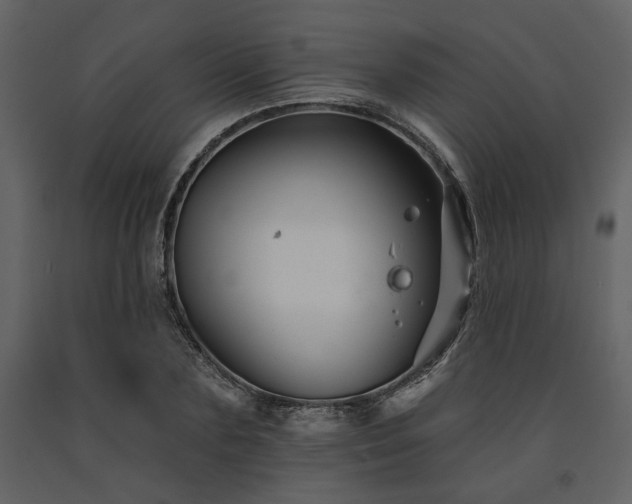 X0000091670883200708231326