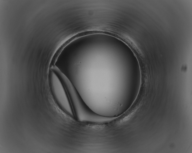 X0000091670884200708231326