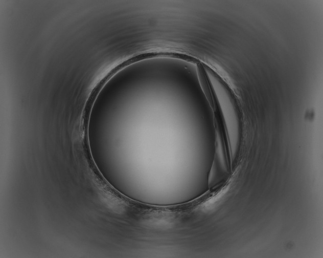 X0000091670885200708231326