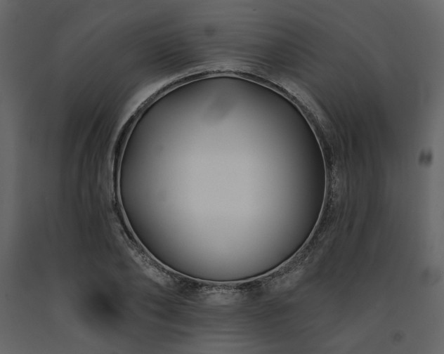 X0000091670886200708231326