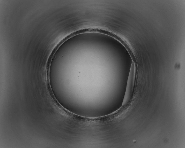 X0000091670887200708231326