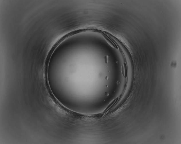 X0000091670888200708231326