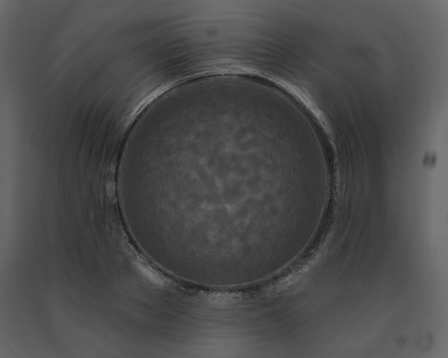 X0000091670889200708231326