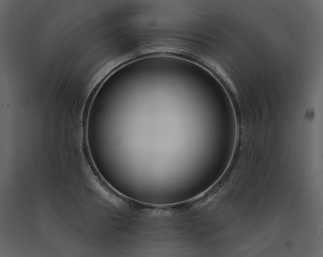X0000091670890200708231326