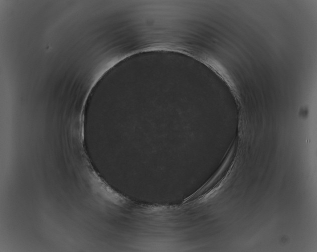 X0000091670892200708231326