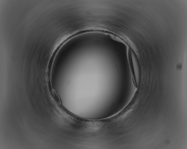 X0000091670893200708231326