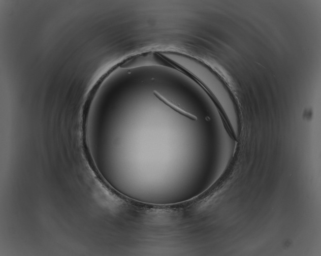 X0000091670894200708231326