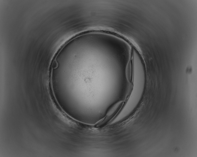 X0000091670895200708231326