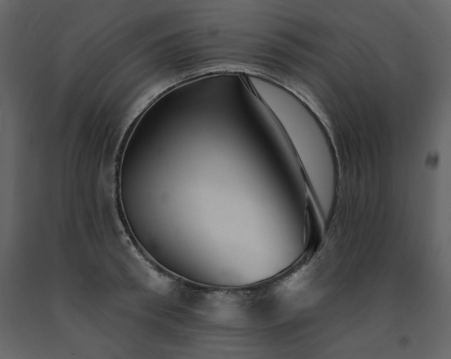 X0000091670898200708231326