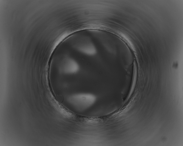 X0000091670899200708231326