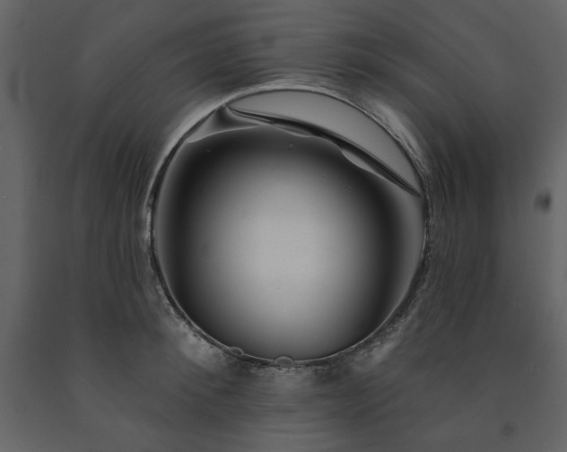 X0000091670900200708231326
