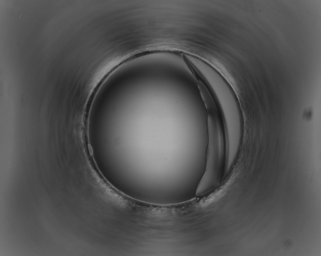 X0000091670901200708231326