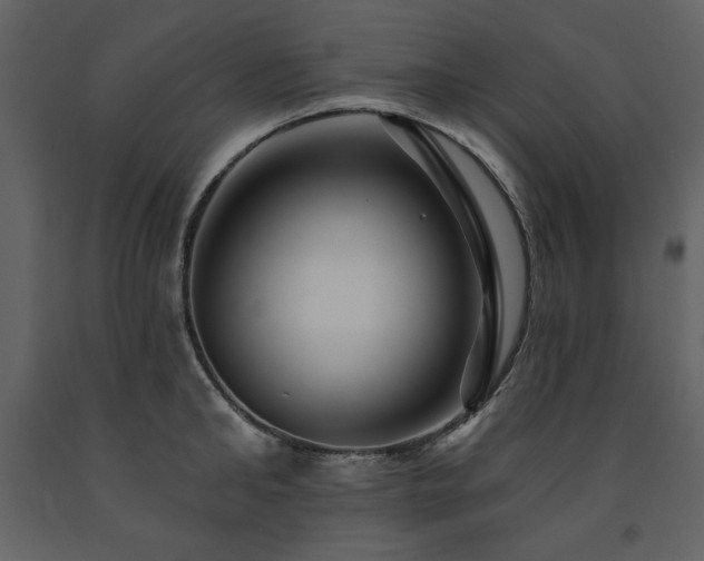 X0000091670902200708231326