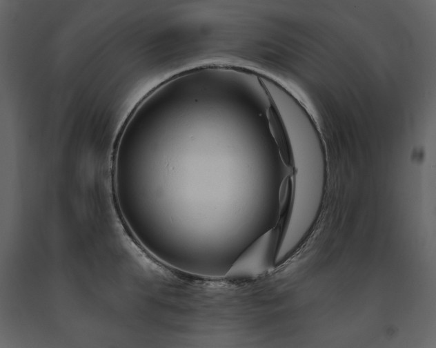 X0000091670903200708231326