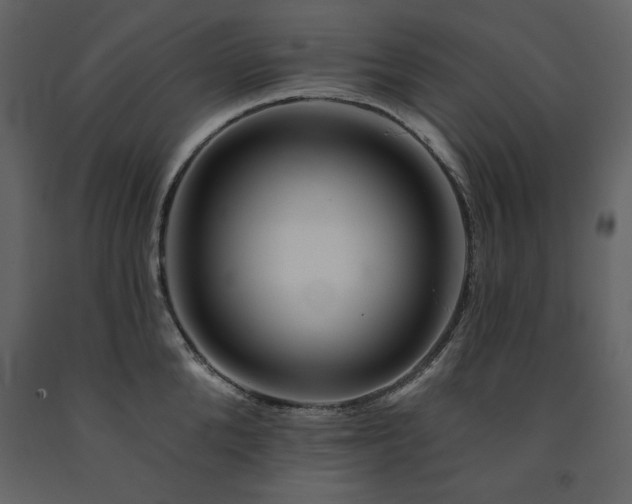 X0000091670904200708231326