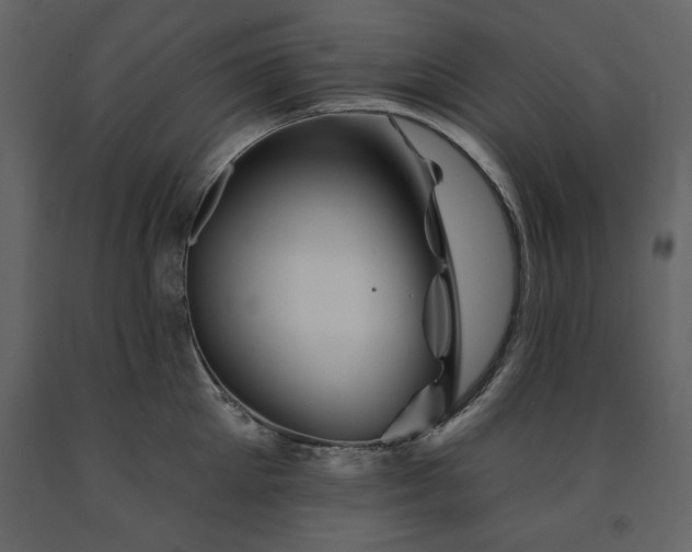 X0000091670905200708231326