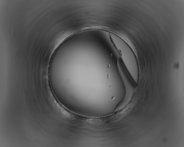 X0000091670906200708231326