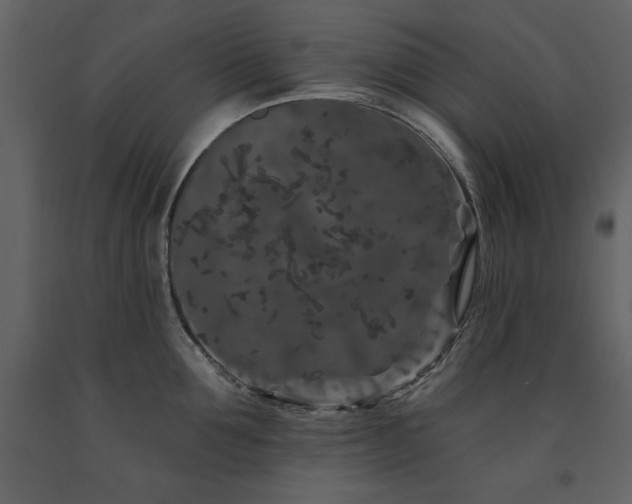 X0000091670907200708231326