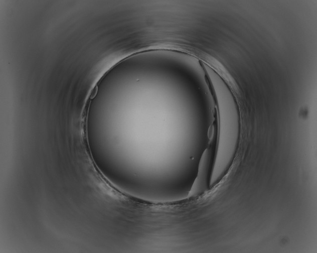 X0000091670908200708231326