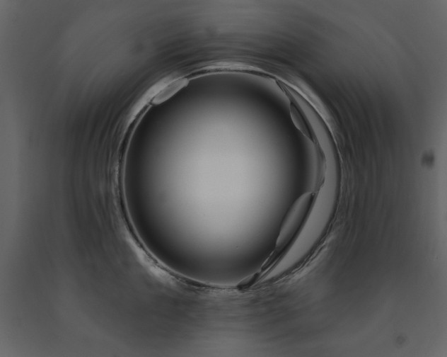 X0000091670909200708231326